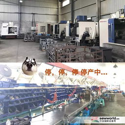環保風暴下小工廠的生存困境 價格優勢不再，轉型之路何在？